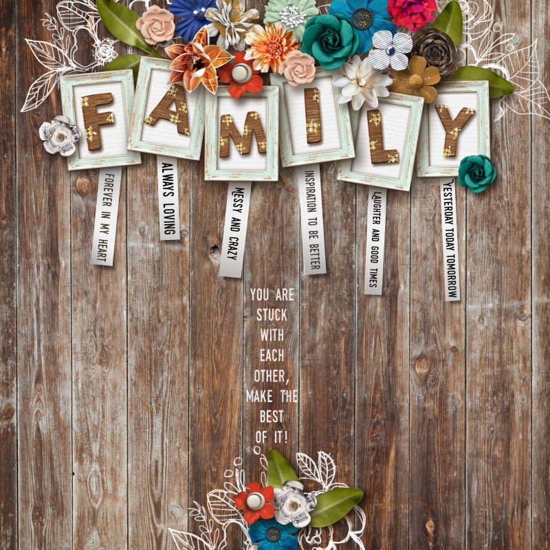 MOC9_17 - Family