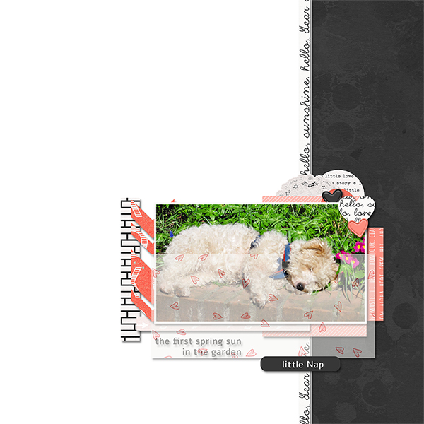 MOC_8_Day_15_little-Nap