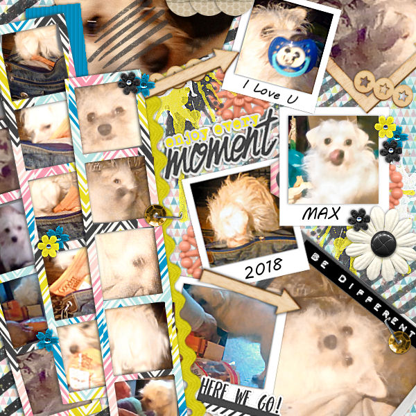 Moments With Max