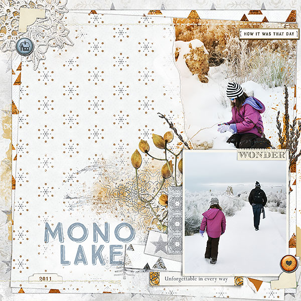 Mono Lake