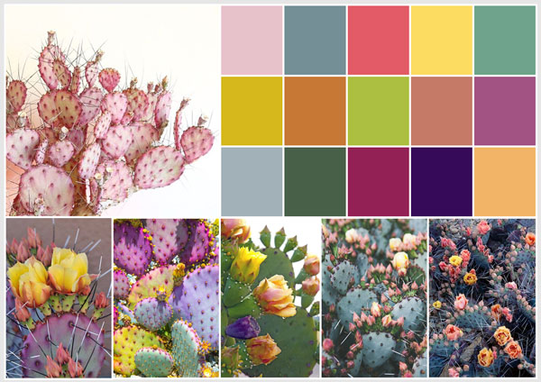 mood board 1