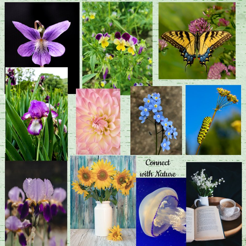 Mood Board #1