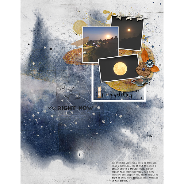 MOON WATCHING