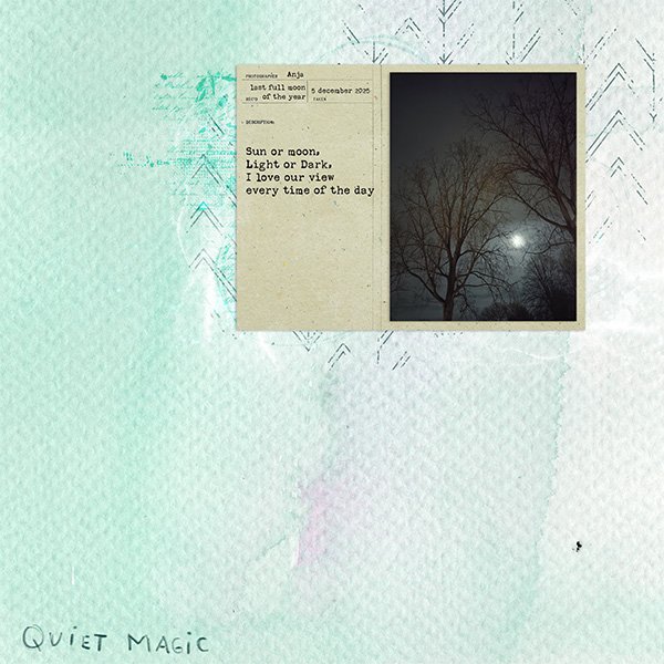 Moonlight View.jpg
