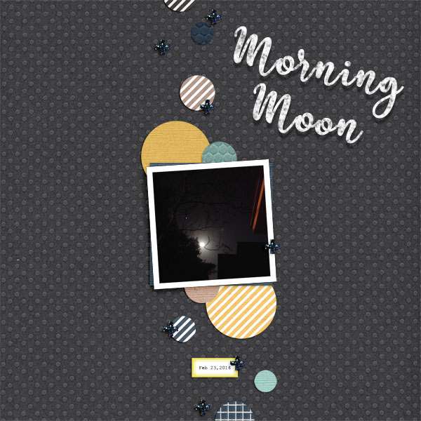 Morning Moon_02232016