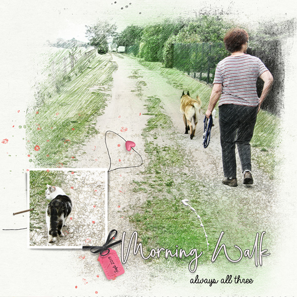 Morning Walk