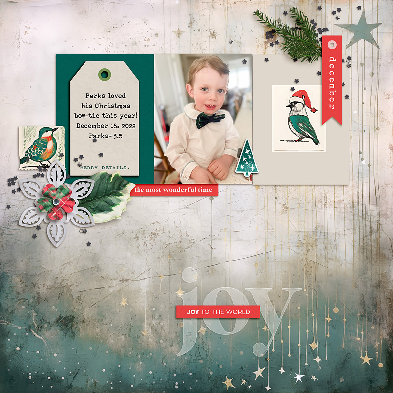 MPM Twinkle- Dec. 2023- joy