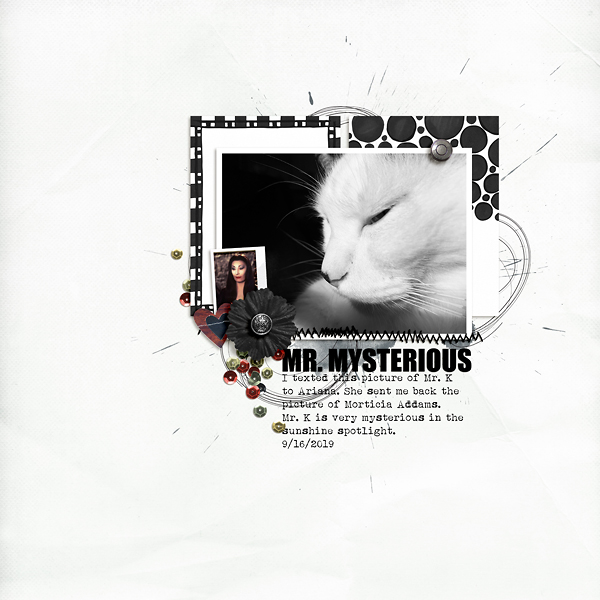 Mr. Mysterious