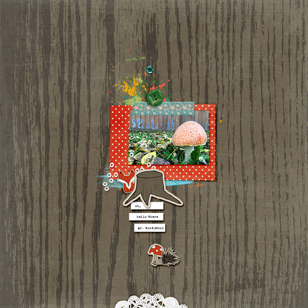 Mr. Toadstool
