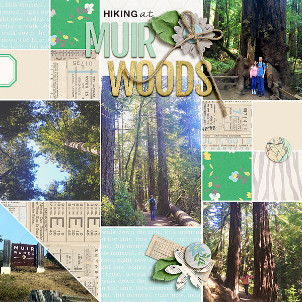 muir woods, left side - MOC day 17