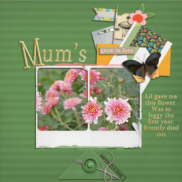 mums2