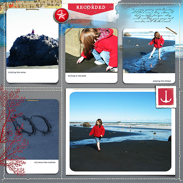Muriwai Black Sand
