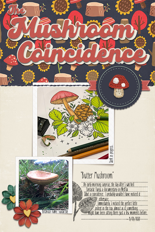 Mushroom Coincidence