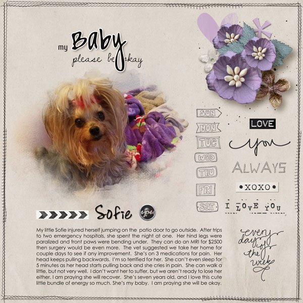 My-Baby_MOC6---Day-15-Filled-Layout_TLP_WEB