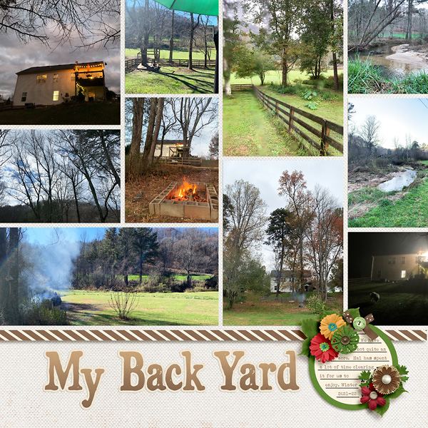 My Back Yard