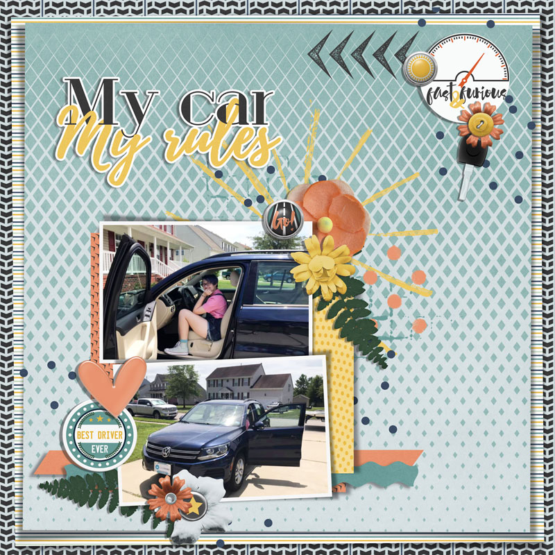 my car my rules
