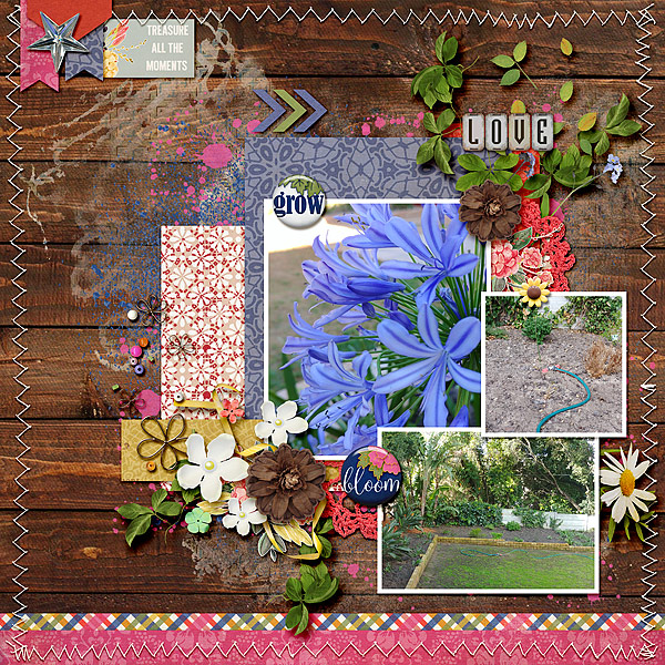 My Garden