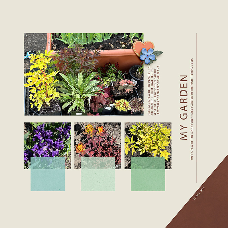 My Garden