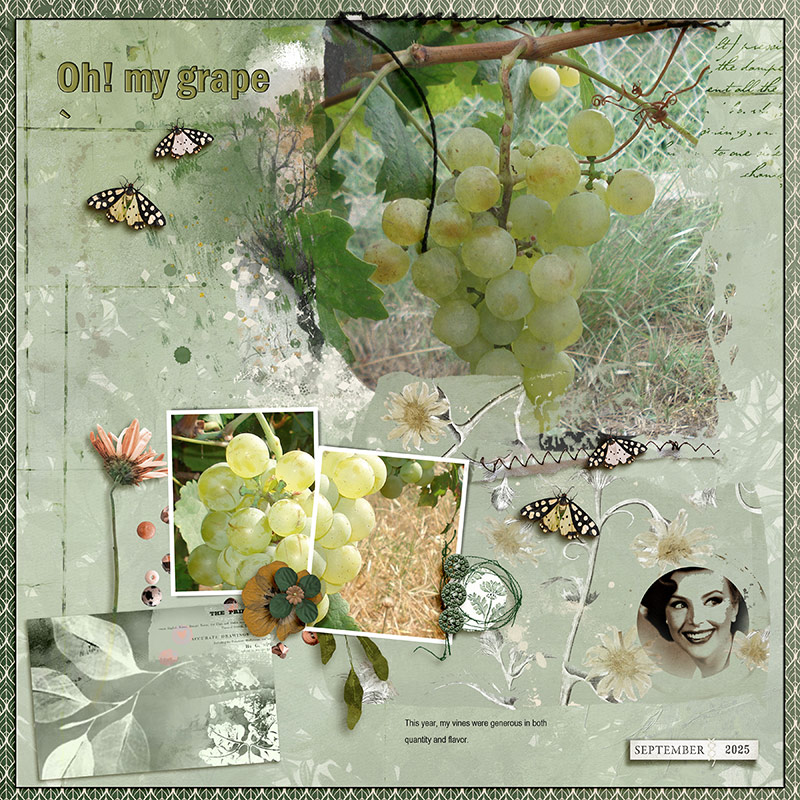 My grape