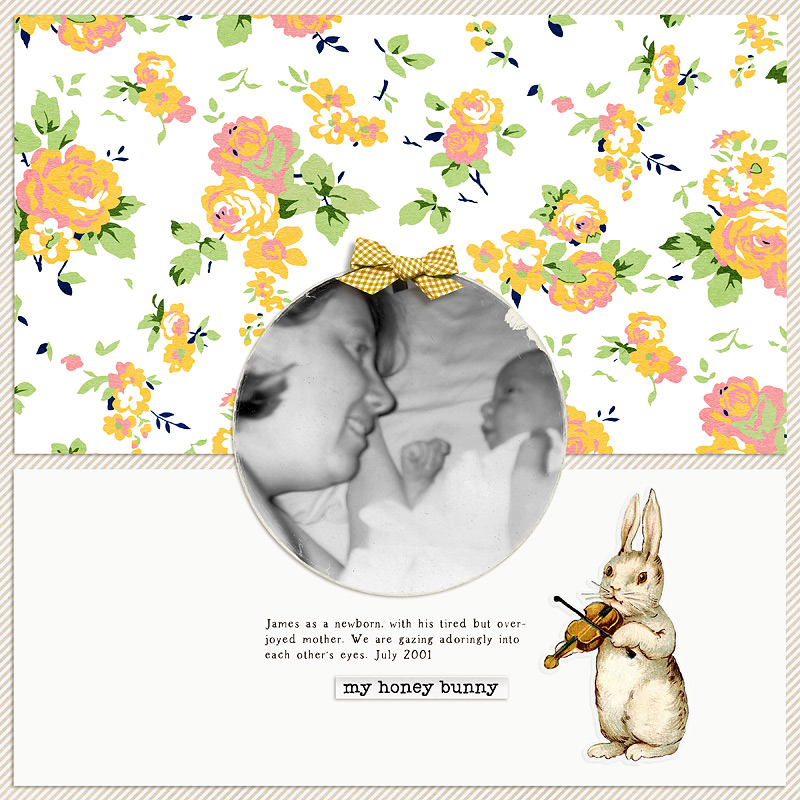 My Honey Bunny
