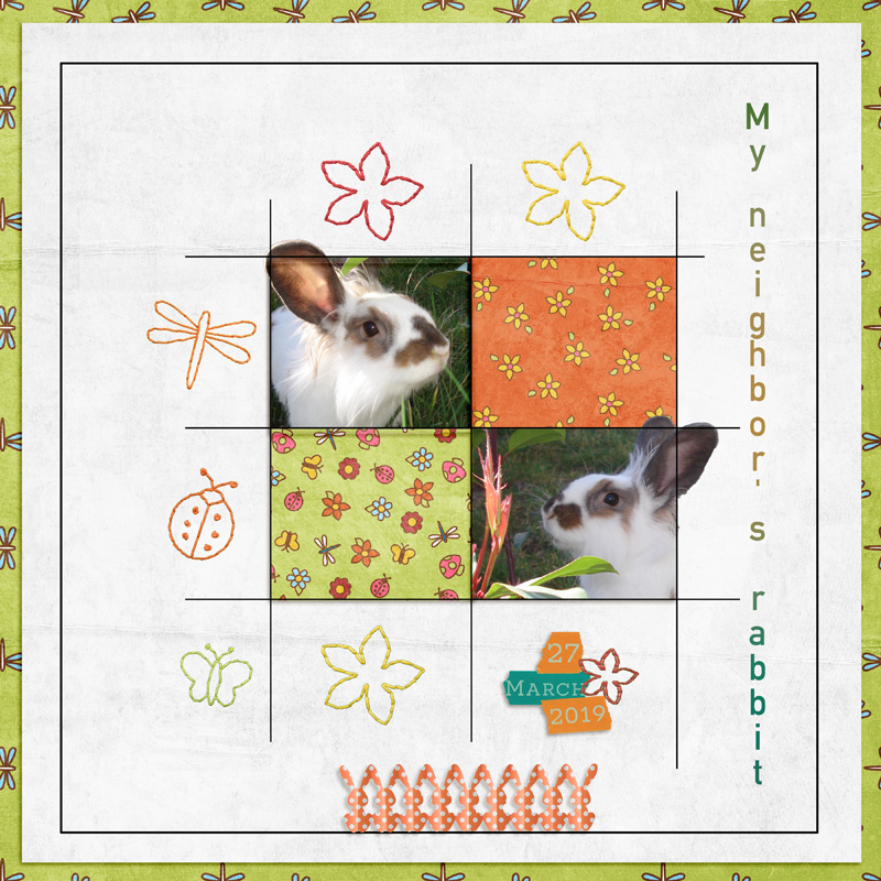 My neighbor's rabbit