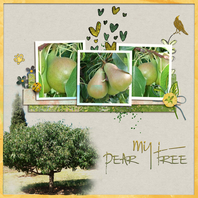My Pear Tree