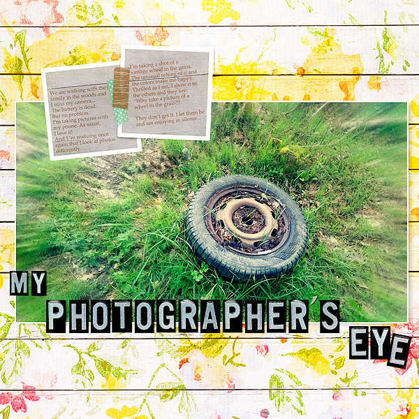 My photographer's eye
