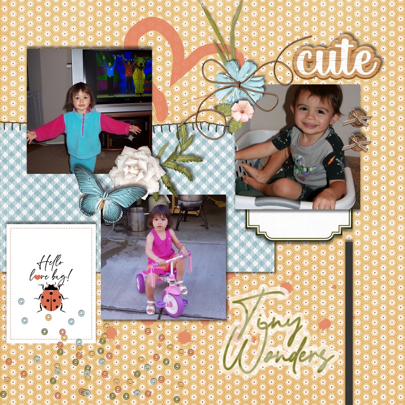MY TINY WONDERS