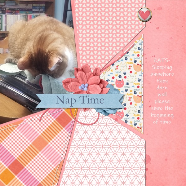 Nap Time