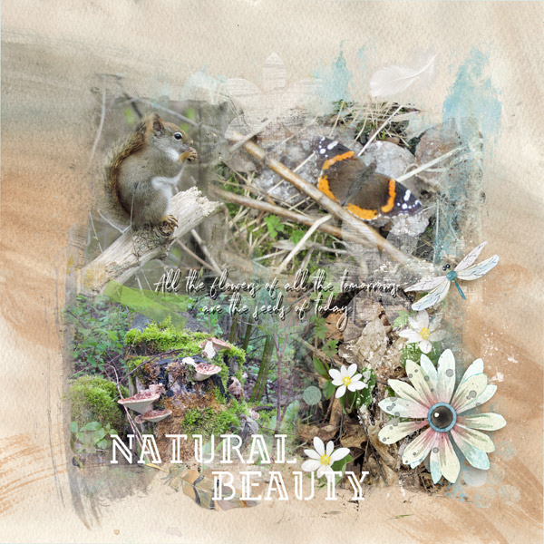 Natural Beauty