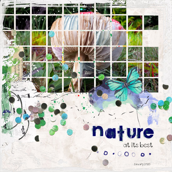Nature at its best