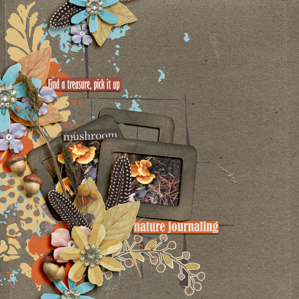 Nature Journaling