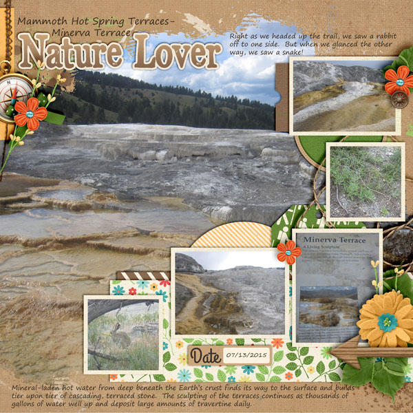 Nature Lover Yellowstone