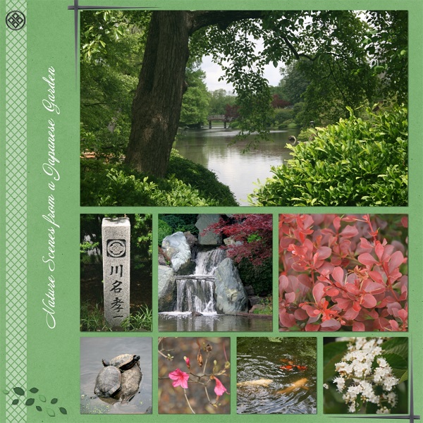 Nature Scenes From A Japanese Garden