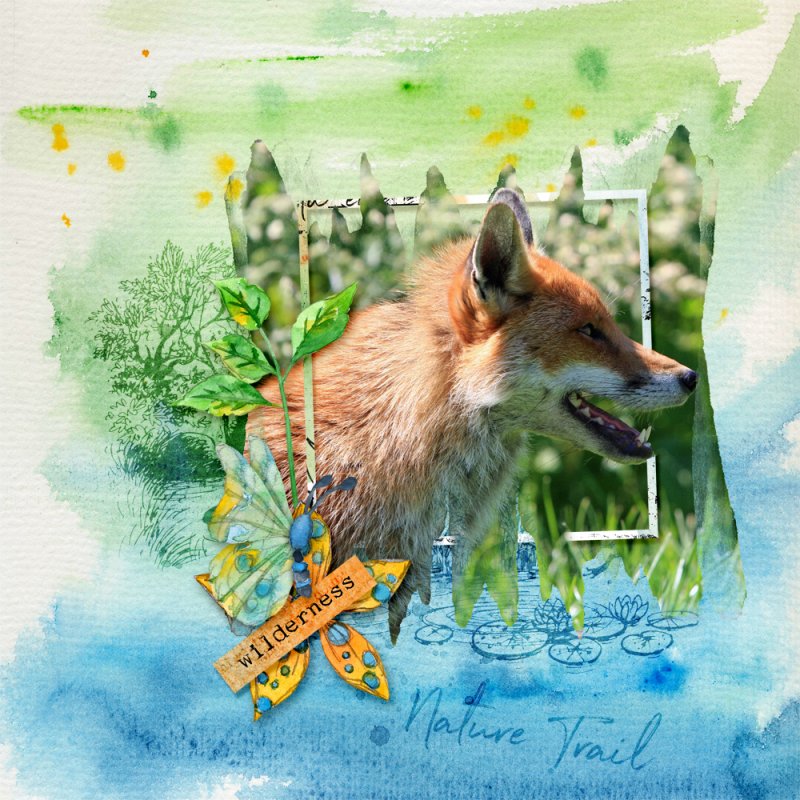 Nature Trail