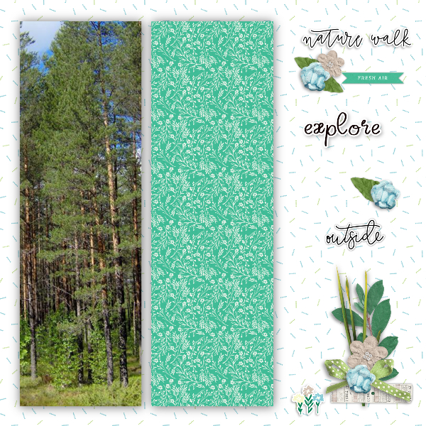 Nature Walk