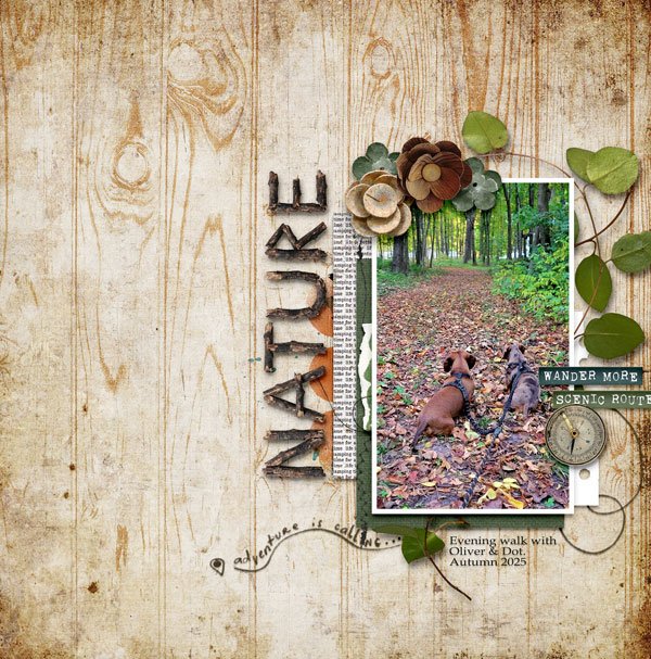 Nature Walk