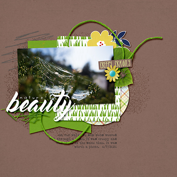 Nature's Beauty