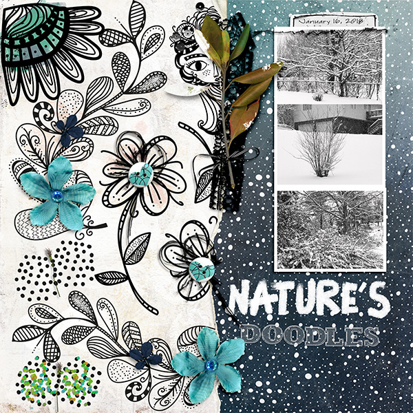 Natures Doodles