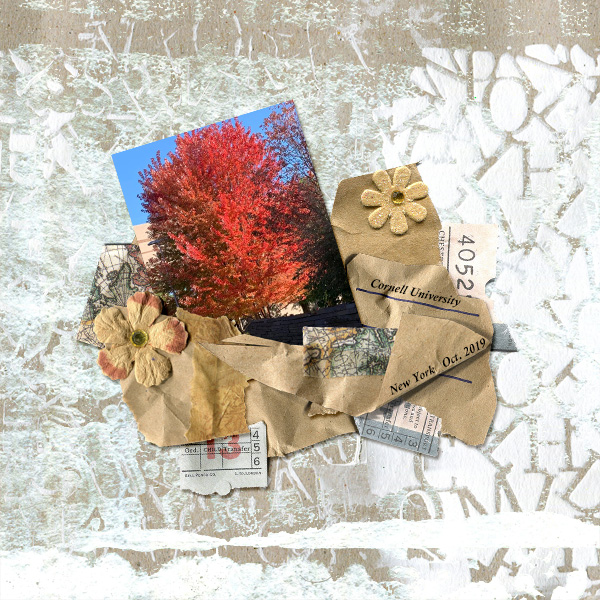 Nbk-craftyARTP-101819_cornell