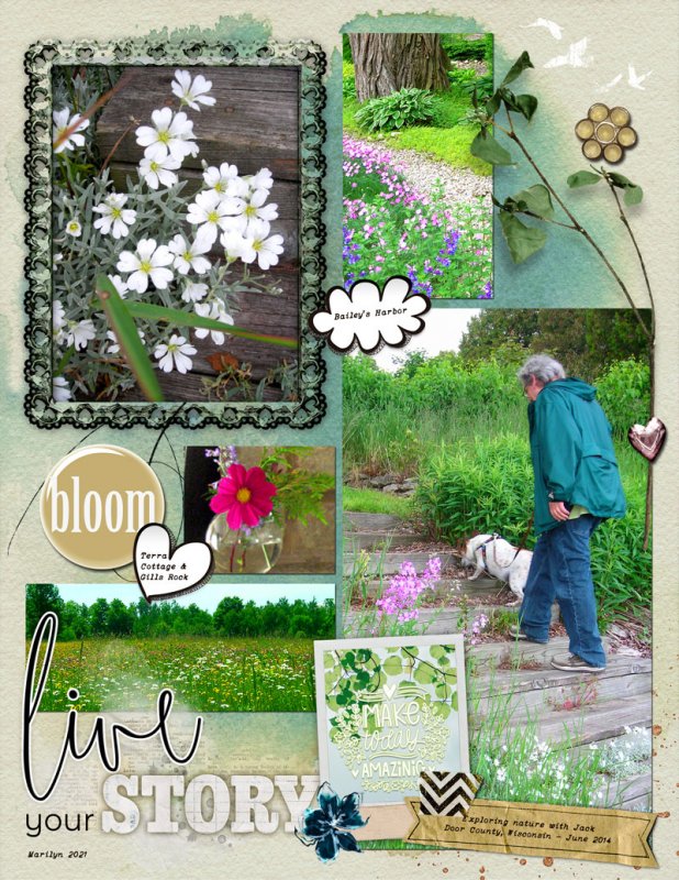 NBK-Design_2021-03_March_SOSN_0324_Poppin-Blossoms_web