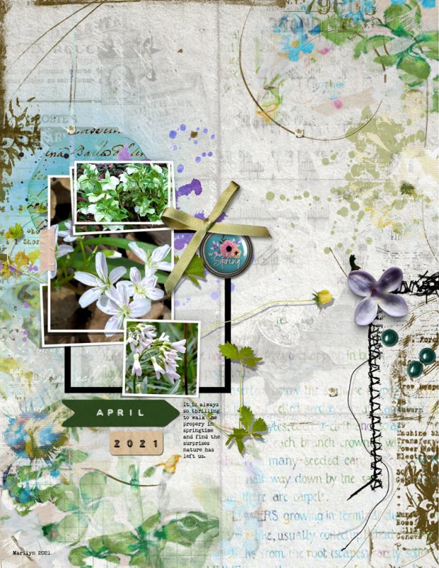 NBK-Design_2021-04_April_NEW_0423_Bloom_web