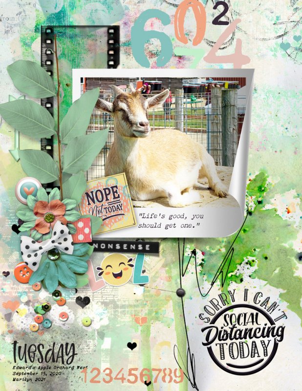NBK-Design_2021-05_May_NEW_0528_Sarcastic_web
