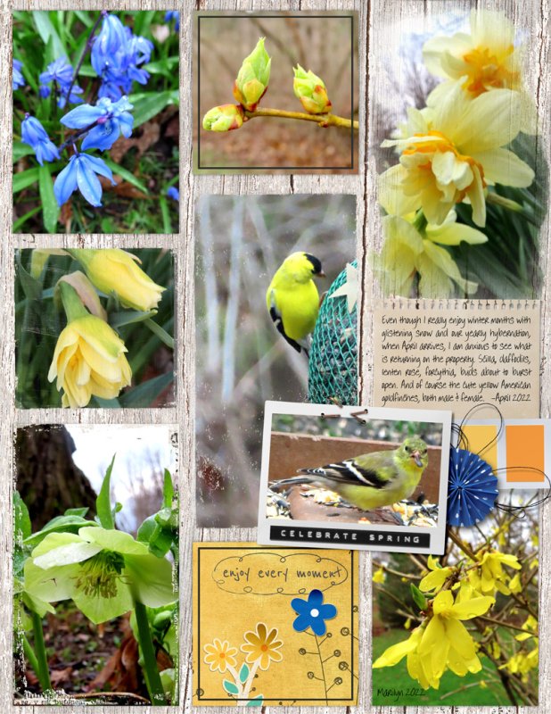 NBK-Design_2022-05_May_iNSD_0507_2022-Templates_Apr-17_web