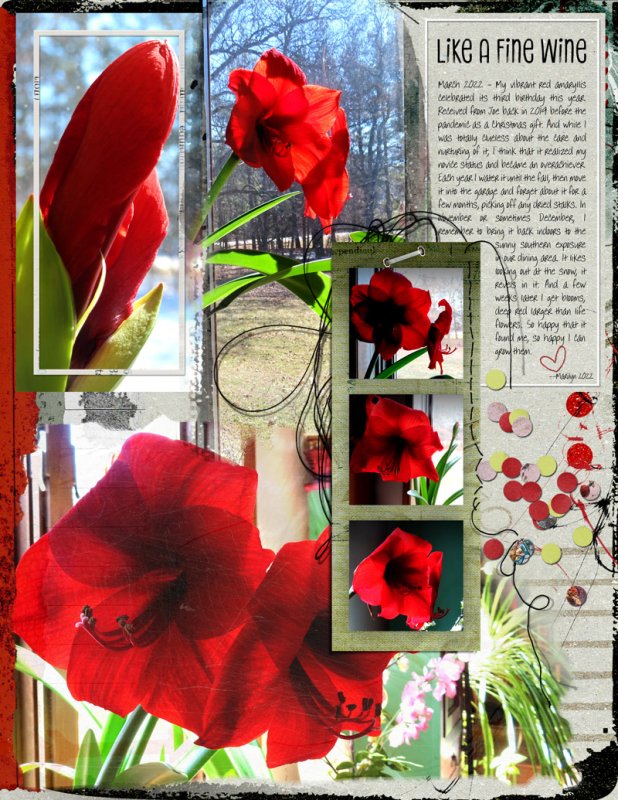 NBK-Design_2022-05_May_iNSD_0507_2022-Templates_Mar-13_web
