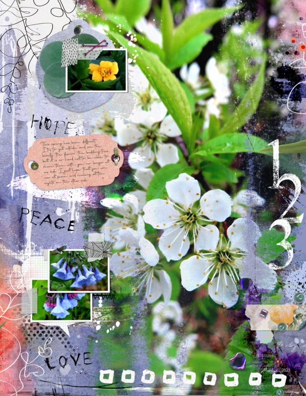 NBK-Design_2023-05_May_BYOC_0505_AC62_web