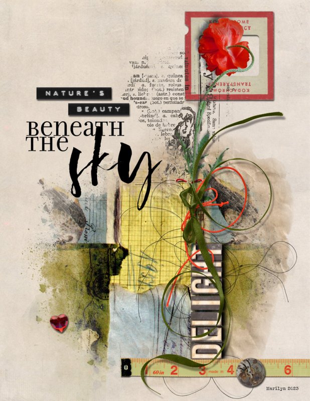 NBK-Design_2023-06_June_New_0630_Poppy-Extravangza_web