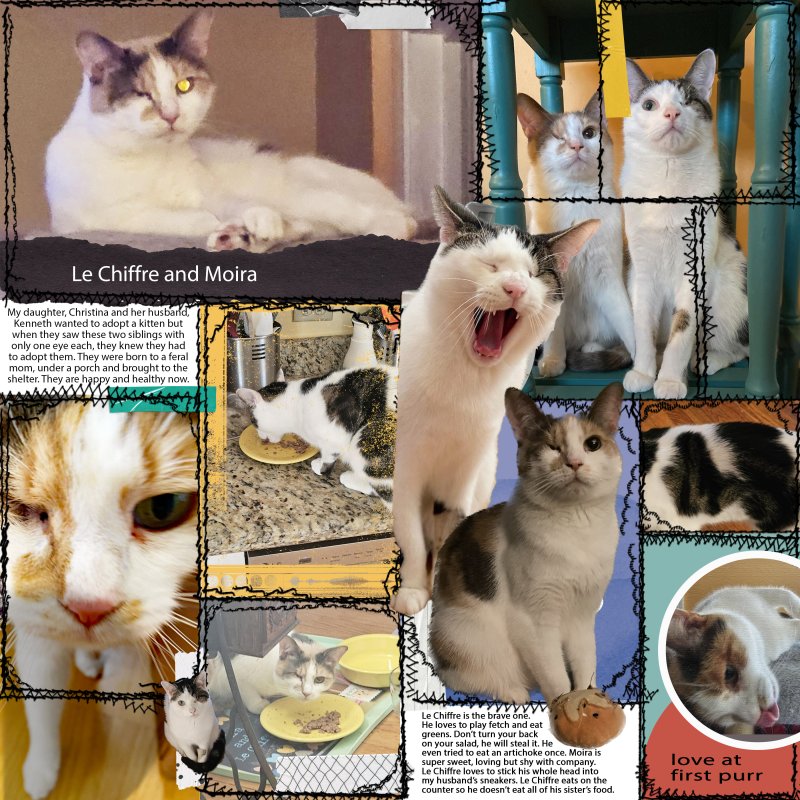 NBK Template With Le Chiffre And Moira The One Eyed Cats