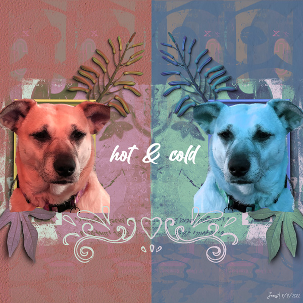 NBK_hot&cold