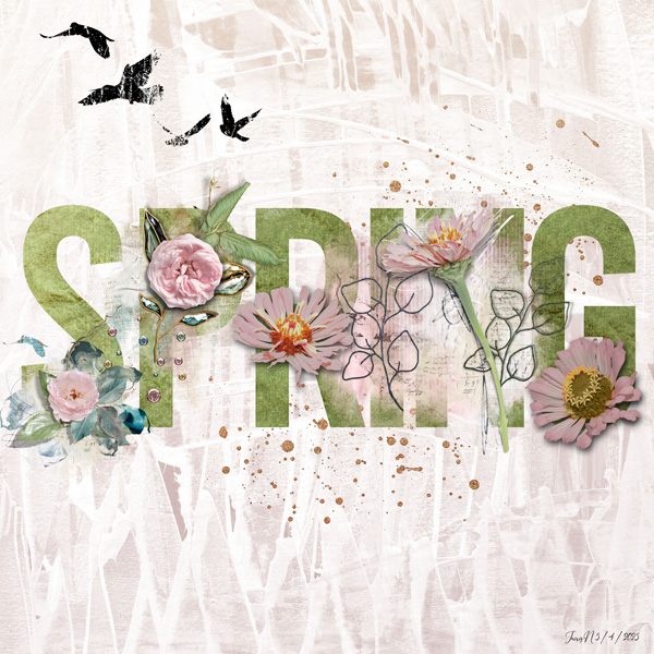 Nbk_slowscrap_spring